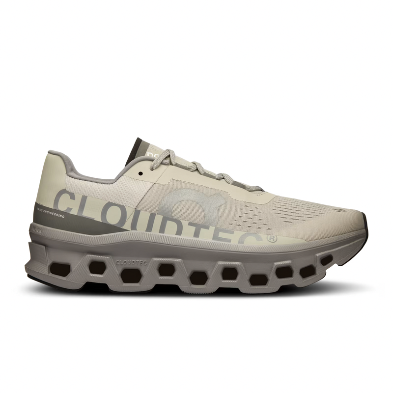 On Cloudmonster Ice/Alloy