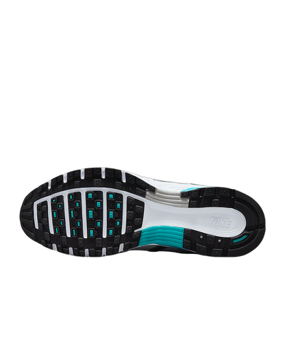 Nike P-6000 Dusty Cactus